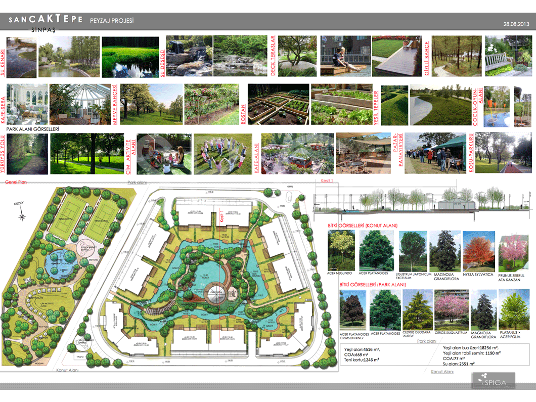 Sinpaş Köyceğiz - 2