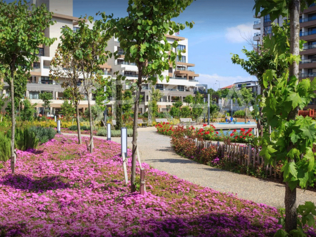 Sinpaş Köyceğiz - 6