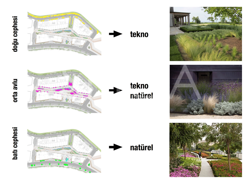 Vadistanbul Bulvar - 8